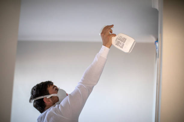 Best Mold Remediation  in Forest Park, OH
