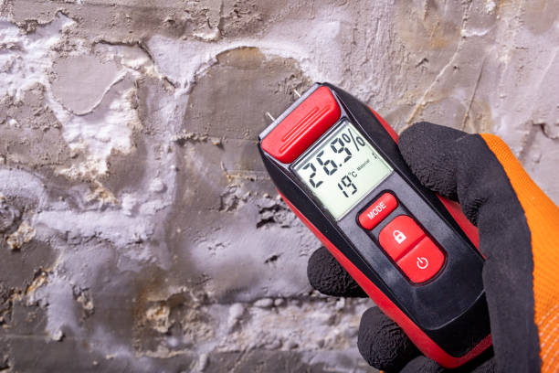 Best Mold Removal and Inspection  in Forest Park, OH