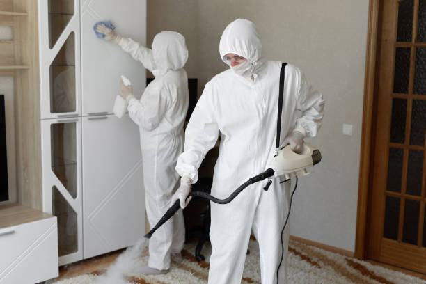 Best Residential Mold Removal  in Forest Park, OH